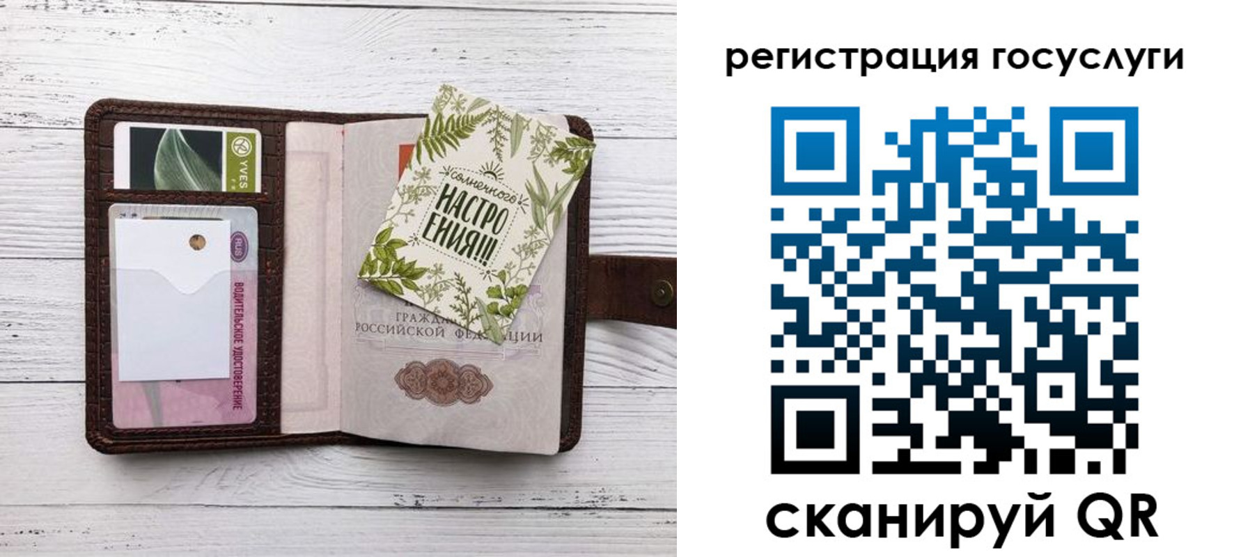 прописка 2025 в Сальске